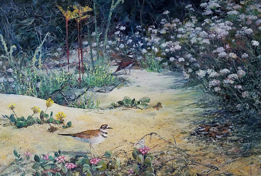 Bird Painting - Killdeer family by Margaret Anderson