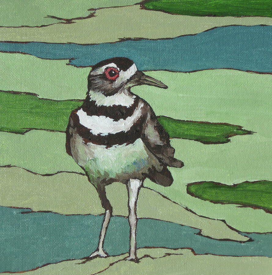 Killdeer Painting by Sandy Tracey