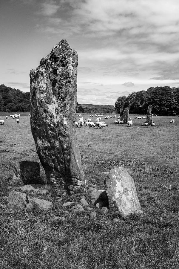 Sheep Photograph - Kilmartin Standing Stone by Chris Dale