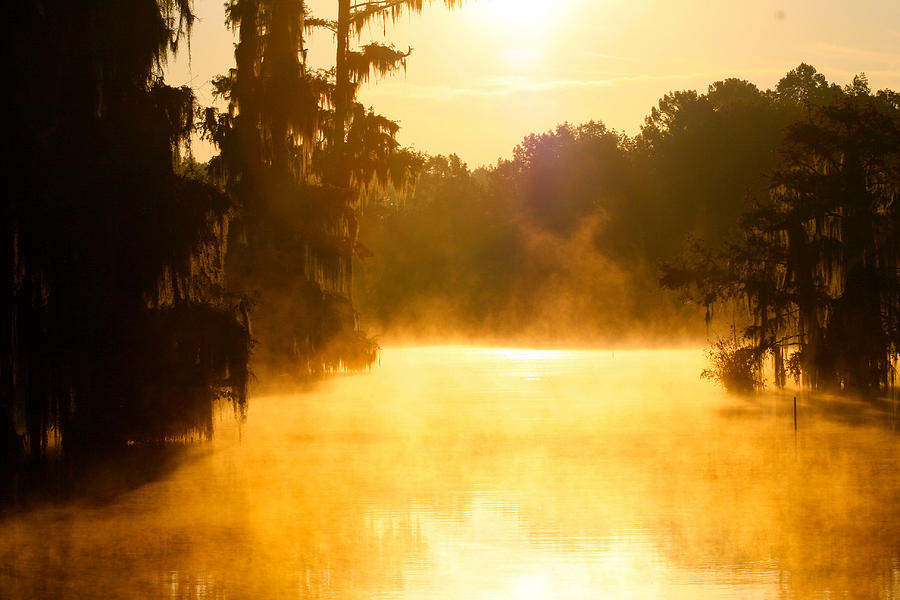 Kinchafoonee Creek Sunrise Photograph By Shirley Sykes Bracken Fine