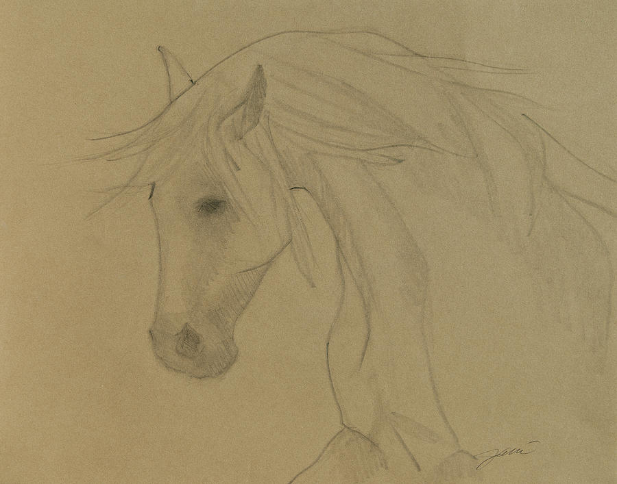 Horse Drawing - Kind Eyes by Jani Freimann