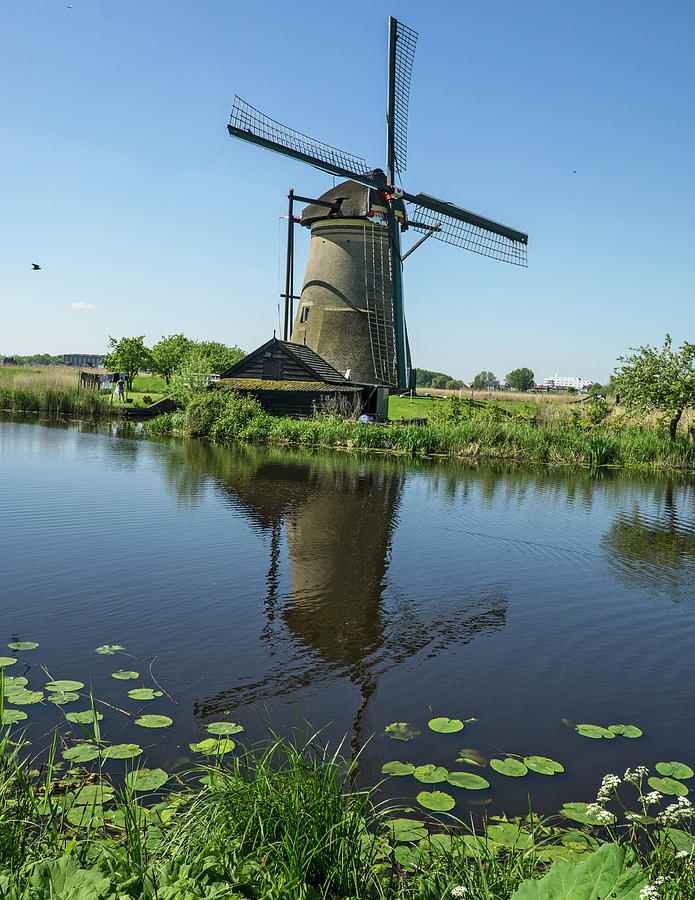 Kinderdijk Windmill Reflection Photograph by Phil Cardamone