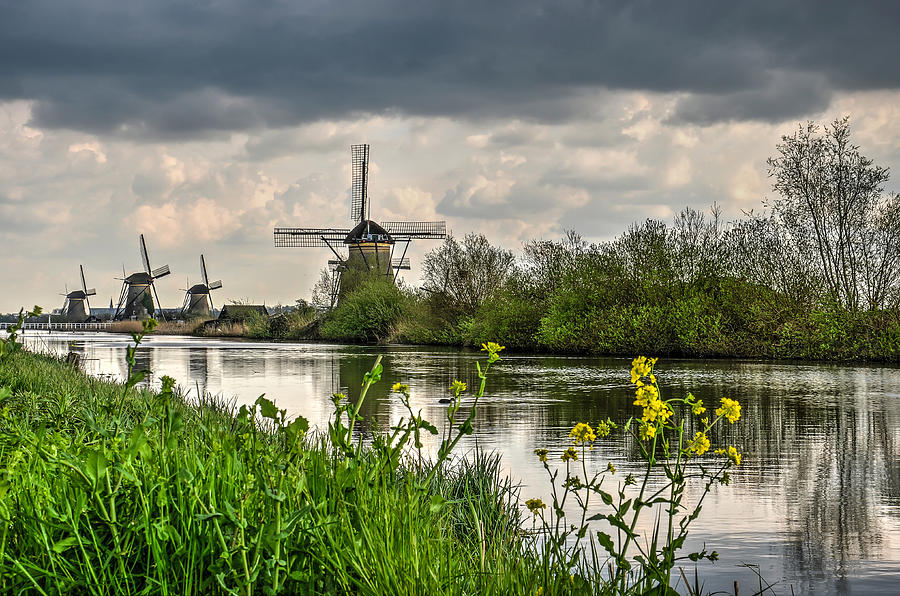 Kinderdijk Windmills in Springtime Photograph by Frans Blok
