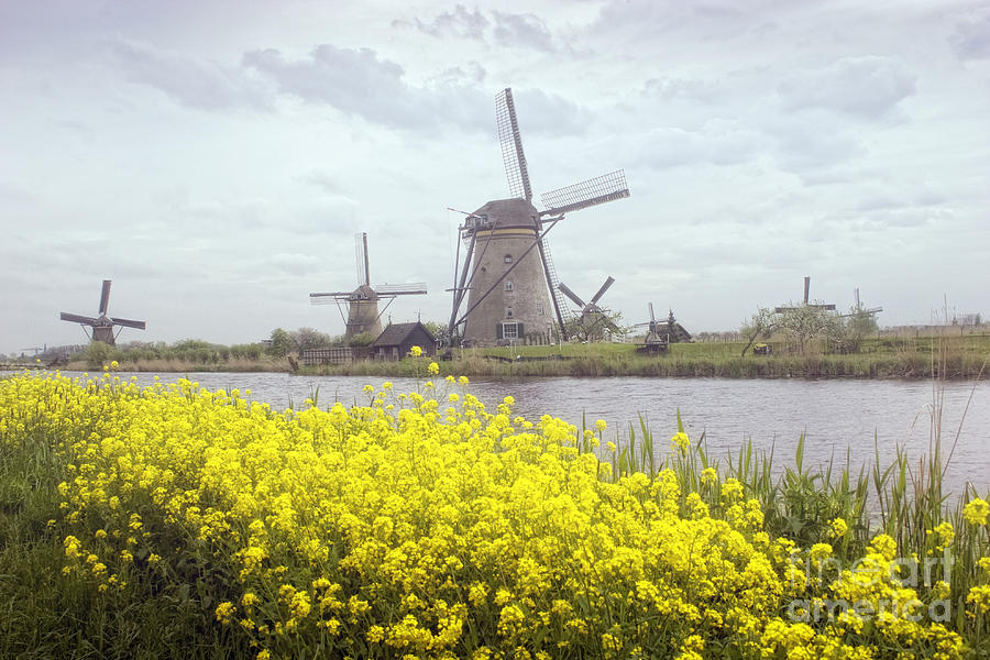 Kinderdijk Windmills Photograph by Timothy Hacker