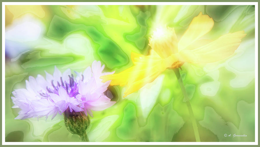 Kindred Spirits, Cornflower and Cosmos Flower Digital Art by A Macarthur Gurmankin