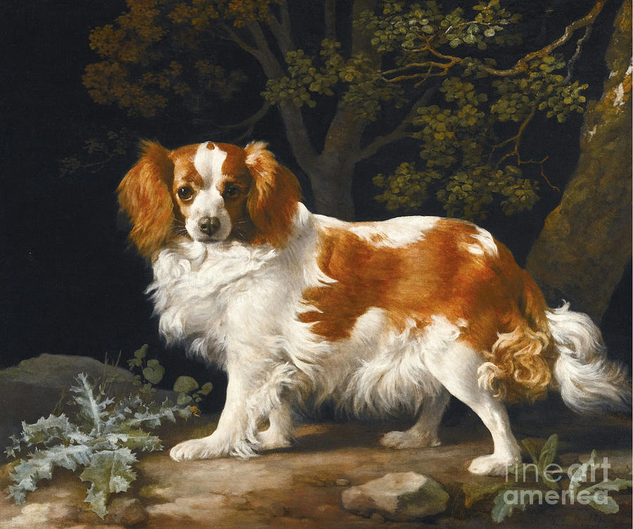 King Charles Spaniel Painting by MotionAge Designs