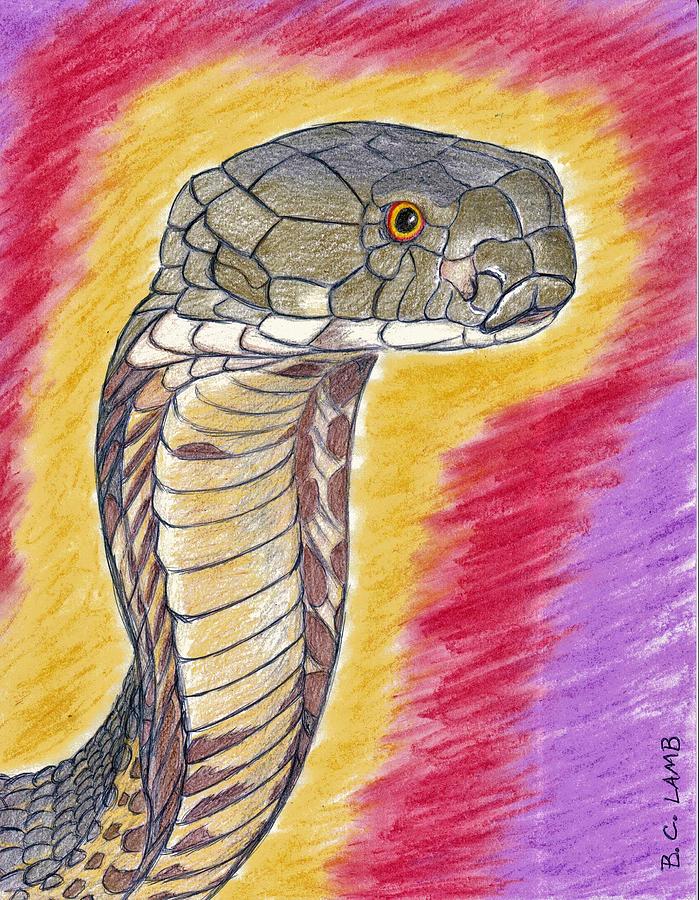 King Cobra Drawing by Bryant Lamb Pixels