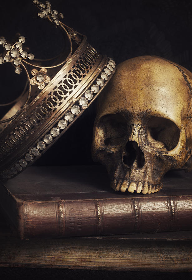Skull Photograph - King for a Day by Amy Weiss