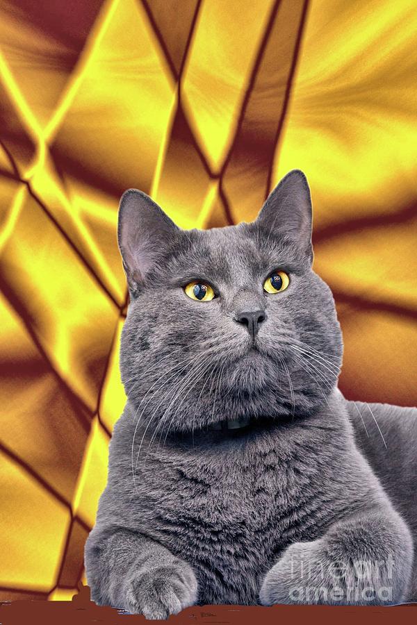 King Kitty with Golden Eyes Digital Art by Janette Boyd