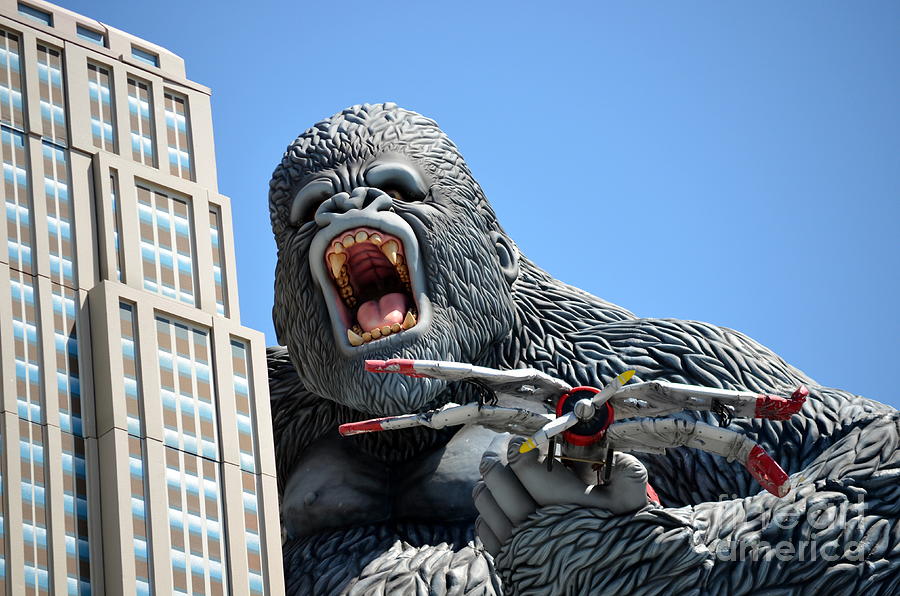 King Kong Photograph by Kathleen Viola - Pixels