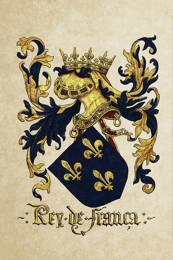 King of France Coat of Arms - Livro do Armeiro-Mor Digital Art by Serge Averbukh