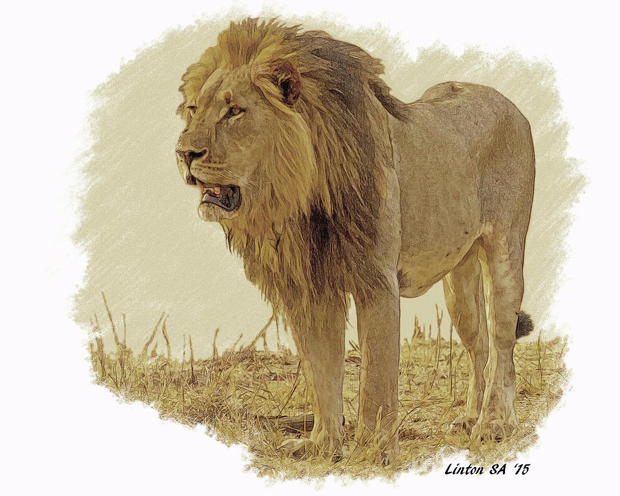 King Of Beasts Digital Art by Larry Linton