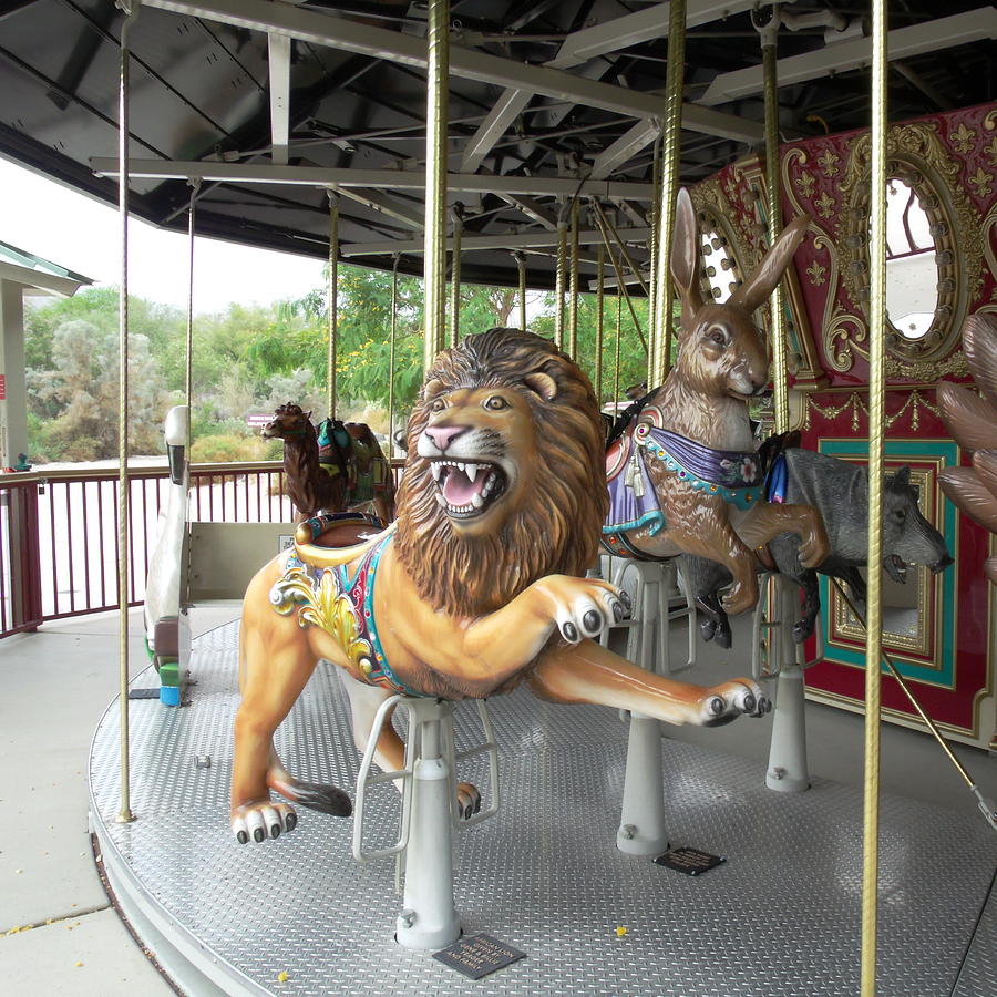 King of the Carousel Photograph by Colleen Cornelius