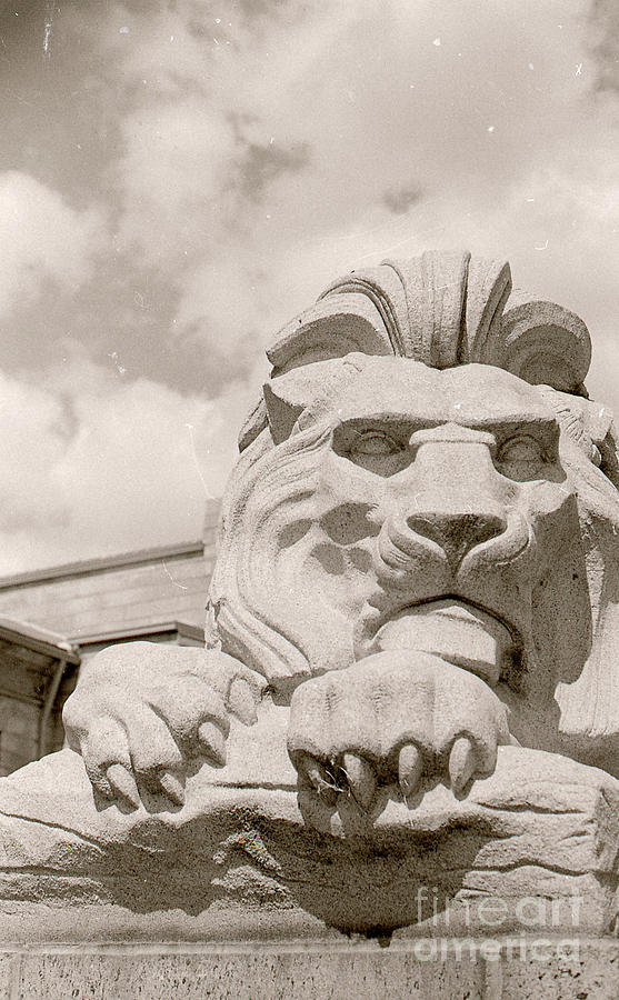 Film Photograph - King of the Cemetary by Kimberly Farmer