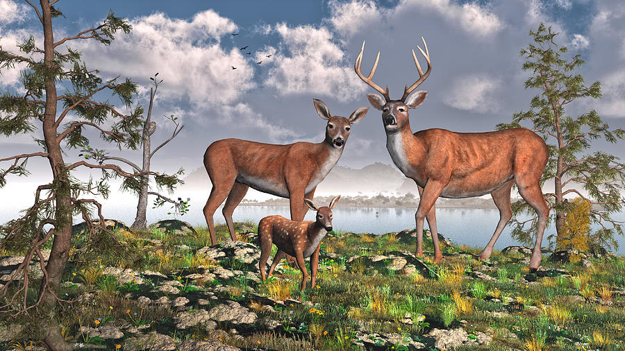 Deer Digital Art - King of the Mountain by Mary Almond