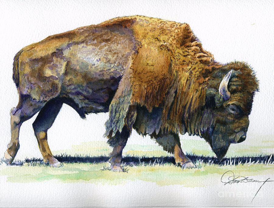 Bison Painting - King of the Prairie by Don Dane