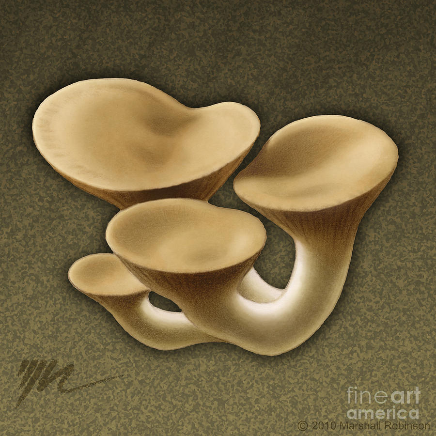 Mushroom Painting - King Oyster Mushrooms by Marshall Robinson