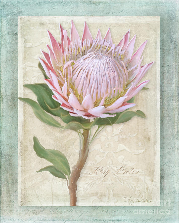 King Protea Blossom - Vintage Style Botanical Floral 1 Painting by Audrey Jeanne Roberts