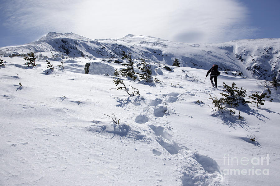 Winter Photograph - King Ravine - White Mountains New Hampshire USA by Erin Paul Donovan