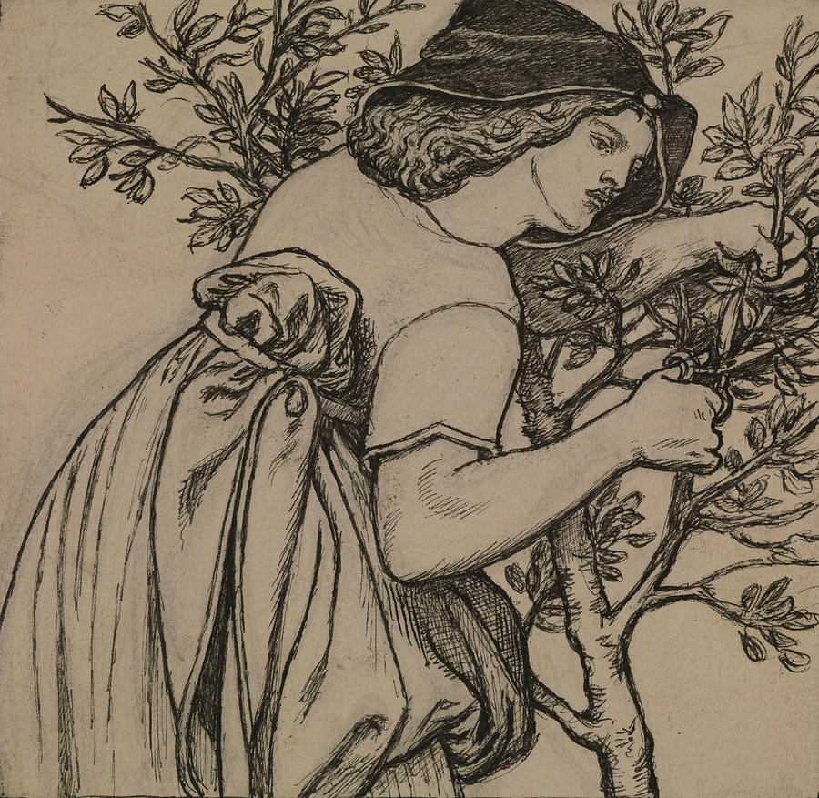 King Renes Honeymoon  Drawing by Dante Gabriel Rossetti