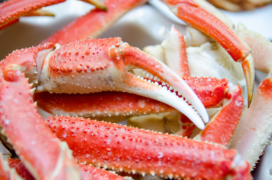 King Snow Crab Legs Ready To Eat Closeup Photograph by Alex Grichenko