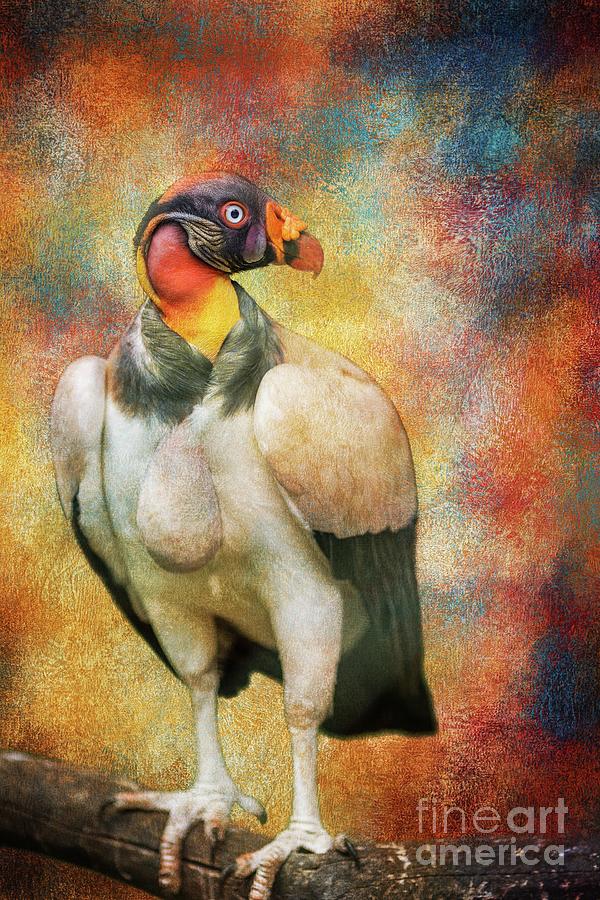 Vulture Mixed Media - King Vulture by Eva Lechner