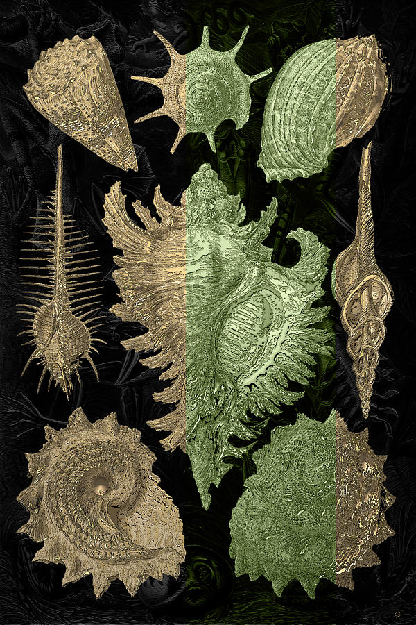 Kingdom of Golden Seashells Digital Art by Serge Averbukh