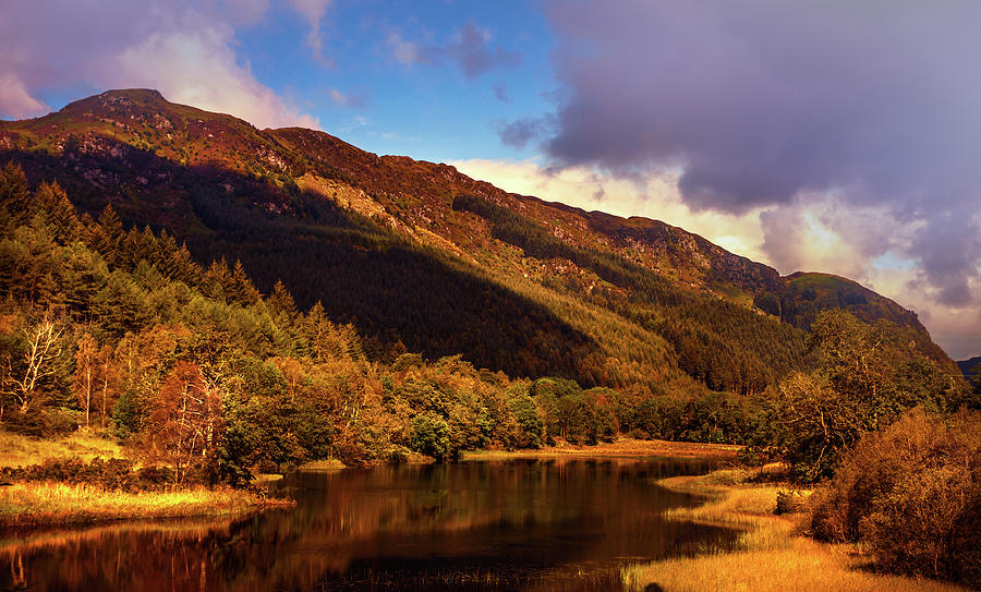 Kingdom of Nature. Scotland Photograph by Jenny Rainbow