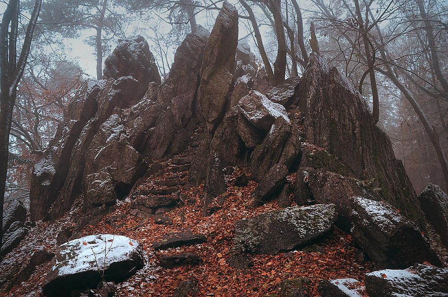 Kingdom of the Rocks Photograph by Jenny Rainbow