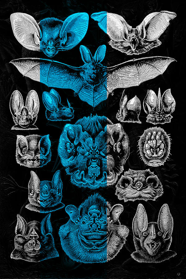 Animal Digital Art - Kingdom of the Silver Bats by Serge Averbukh