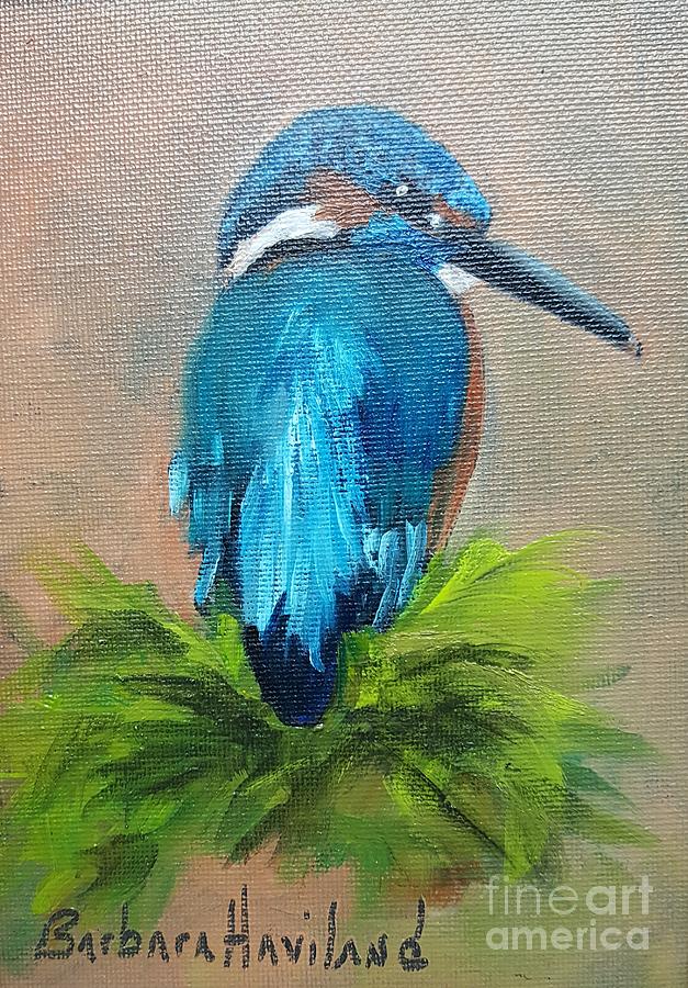 Kingfisher Bird Painting by Barbara Haviland