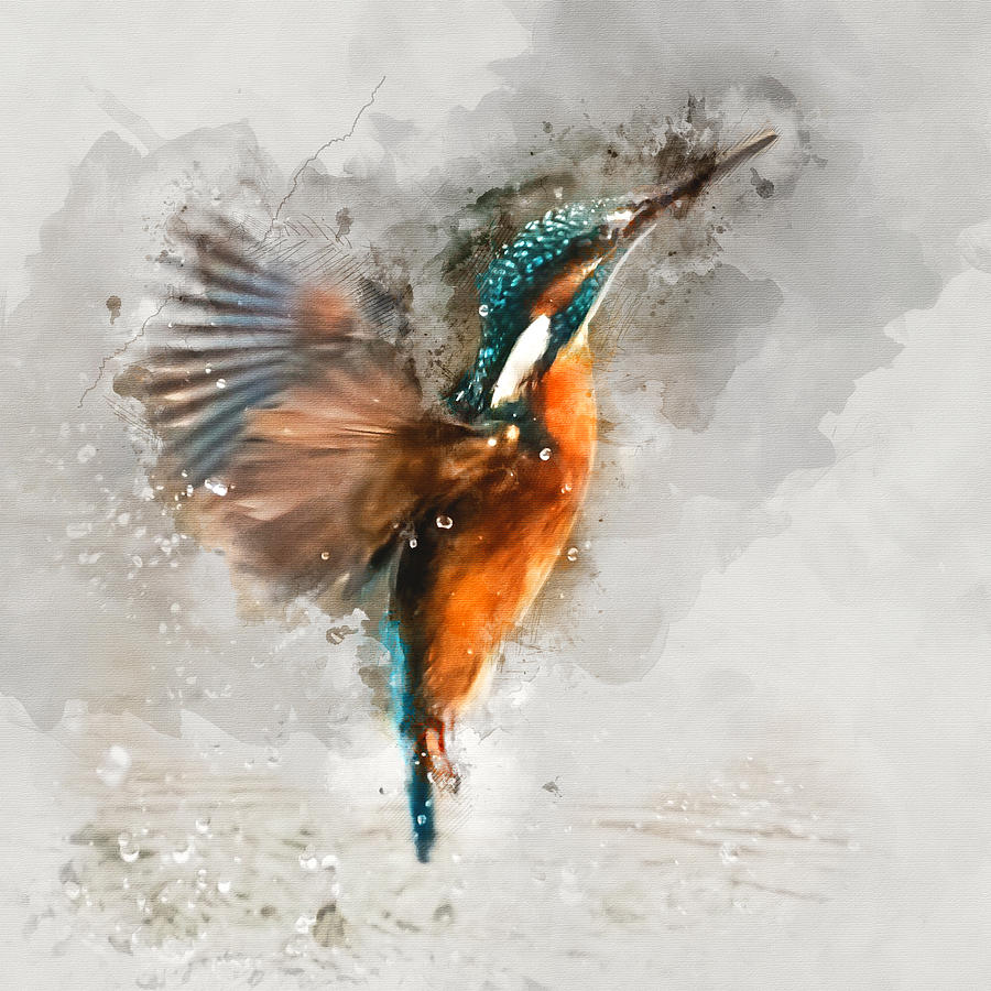 Kingfisher Painting - Kingfisher Bird Watercolor Portrait 1 - by Diana Van by Diana Van