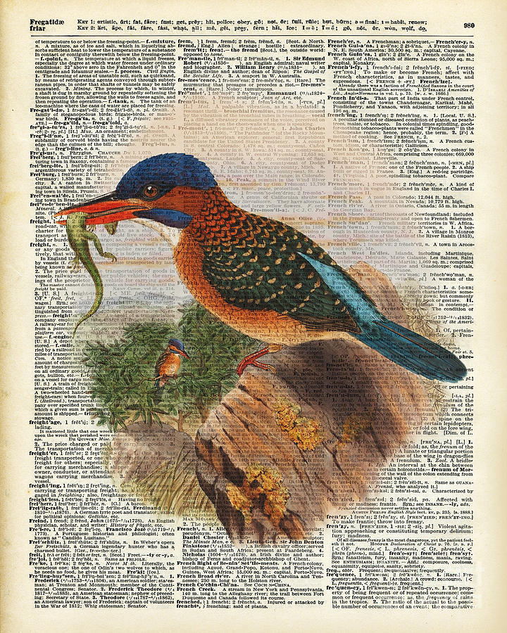 Kingfisher Painting - Kingfisher bird with a lizard illustration Over a Old Dictionary by Anna W