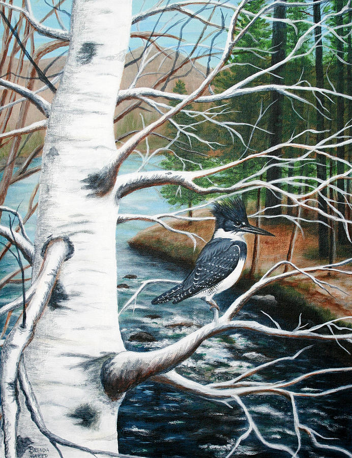 Kingfisher Painting by Brenda Baker