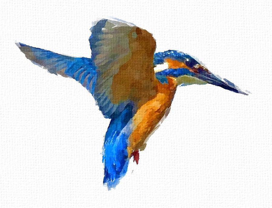 Kingfisher Painting by Chris Butler