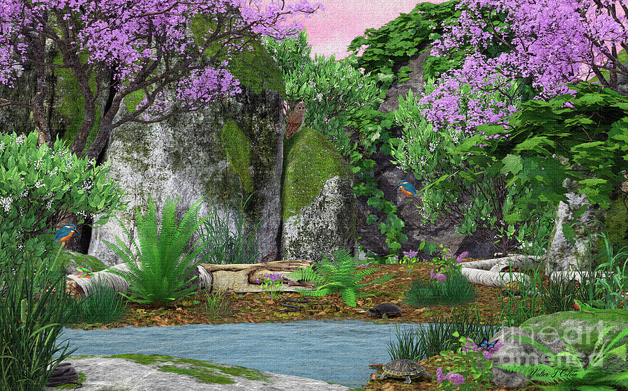 Kingfisher Creek Digital Art by Walter Colvin