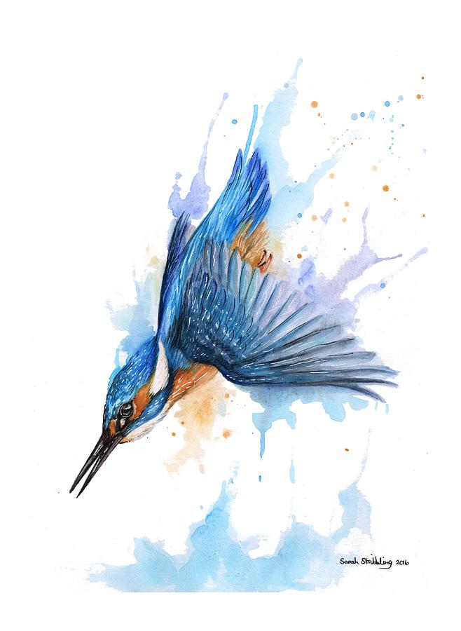 Kingfisher Painting - Kingfisher diving by Sarah Stribbling