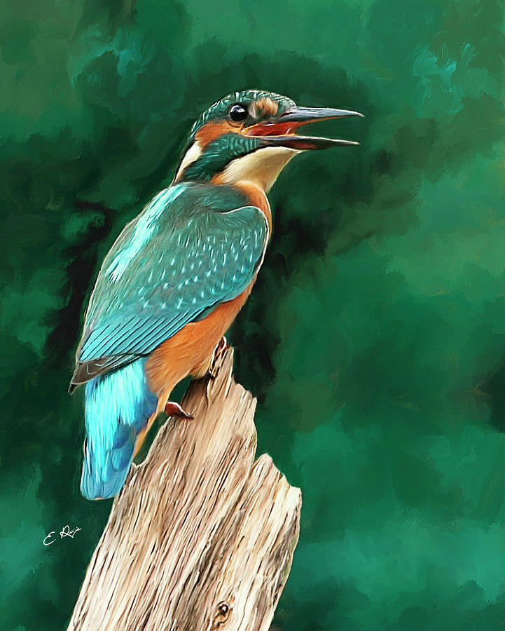 Kingfisher Painting By Ellens Art