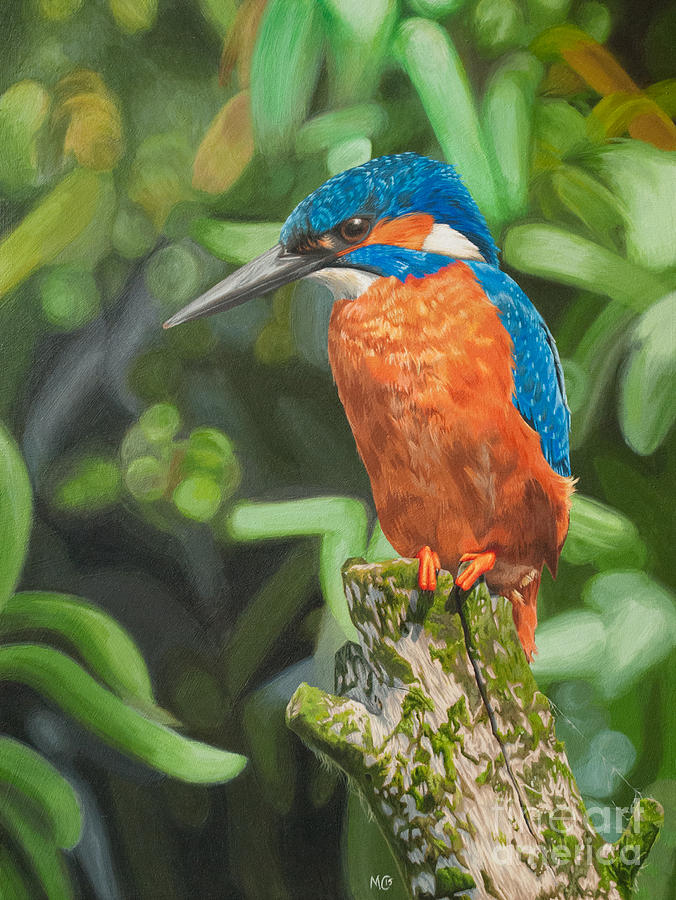 Kingfisher Painting By Michelle Cashmore - Fine Art America