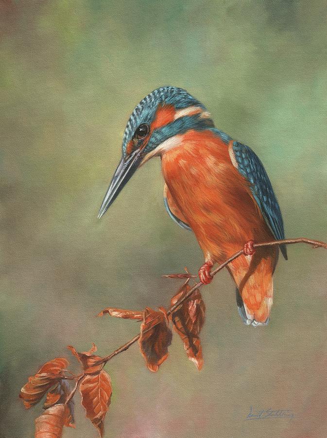 Kingfisher Perched Painting by David Stribbling