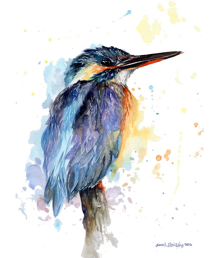 Kingfisher perching Painting by Sarah Stribbling | Fine Art America