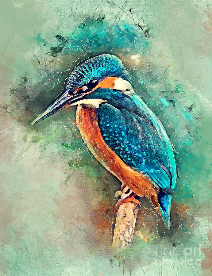 Kingfisher Watercolor Bird Painting by Justyna Jaszke JBJart