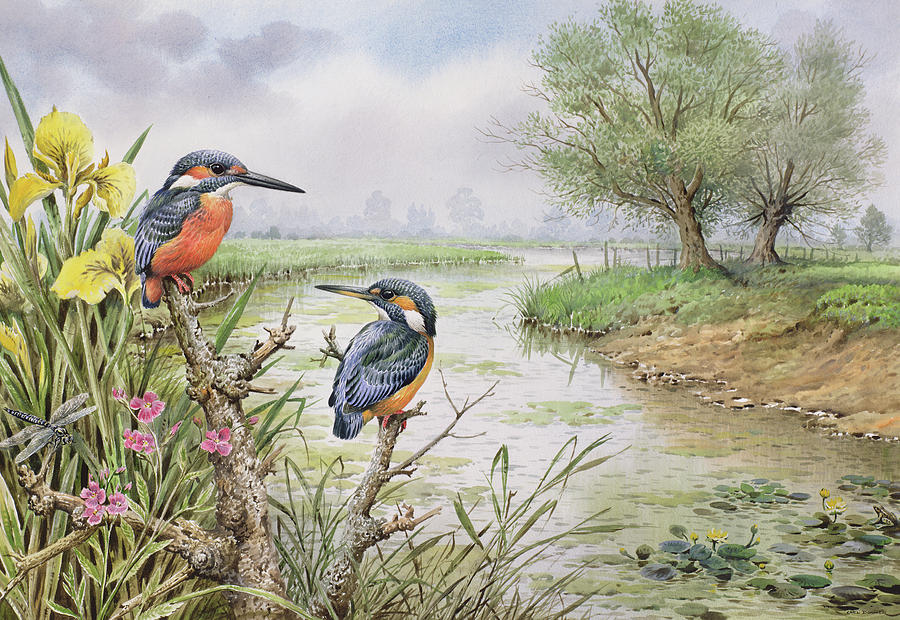 Kingfishers on the Riverbank Painting by Carl Donner