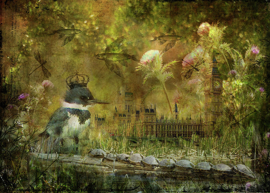 Fantasy Photograph - Kingfishers Realm by Carla Parris