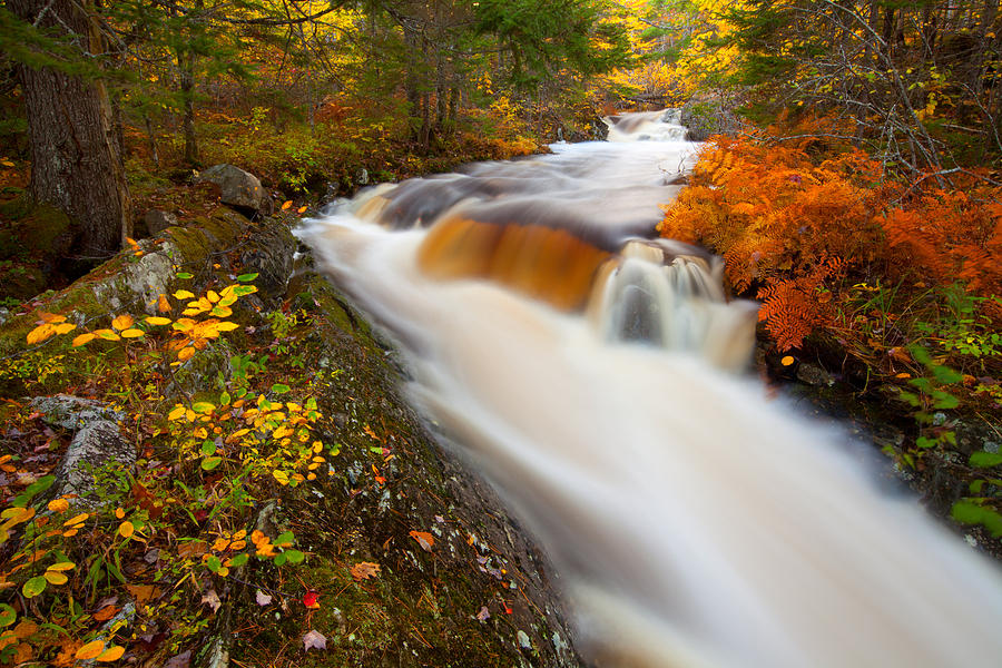 Kings Brook Waterfalls In Autumn #2 Photograph by Irwin Barrett