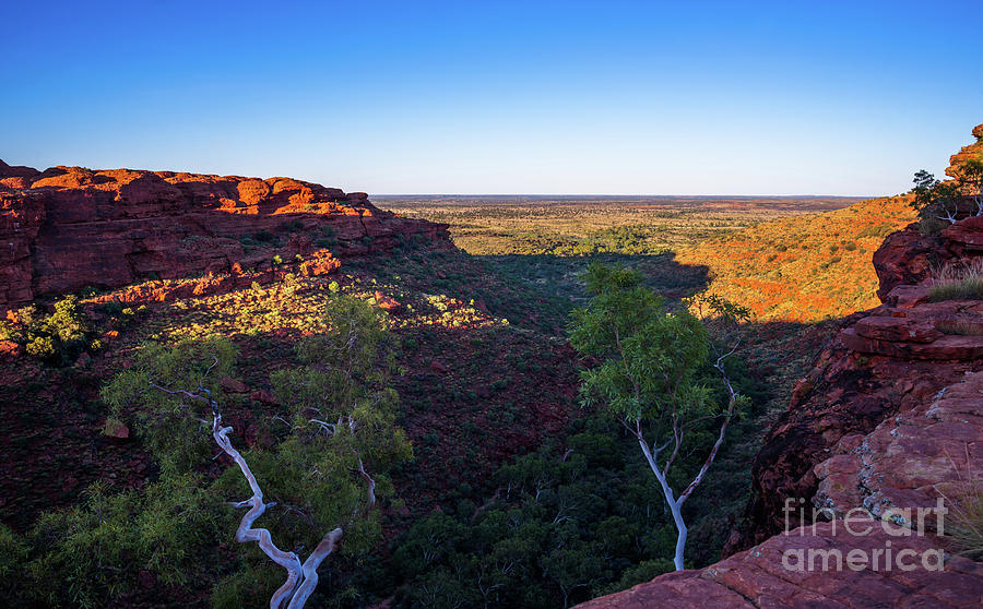 Kings Canyon panorama Photograph by Andrew Michael