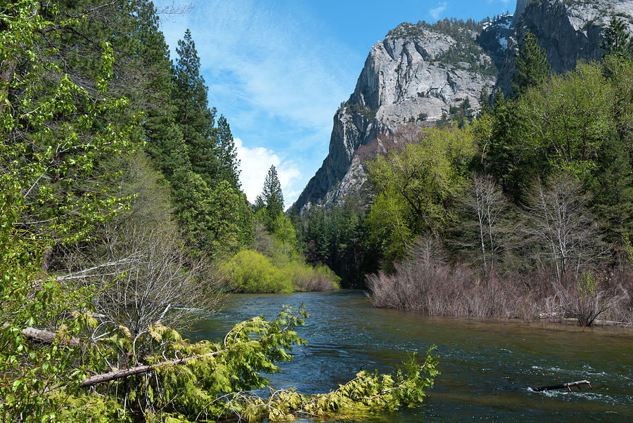 Kings Canyon Spring Landscape Photograph by Cascade Colors