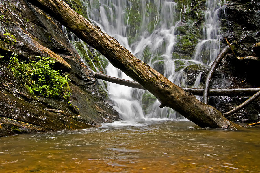 Kings Creek Falls Photograph by Michael Whitaker