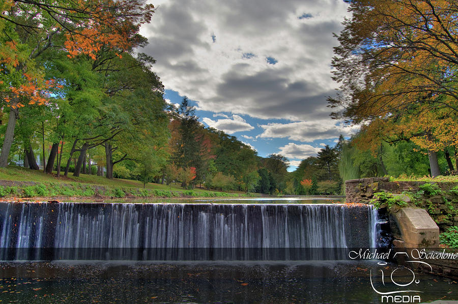 Kingsland Lake Park Photograph by Michael Scicolone - Fine Art America