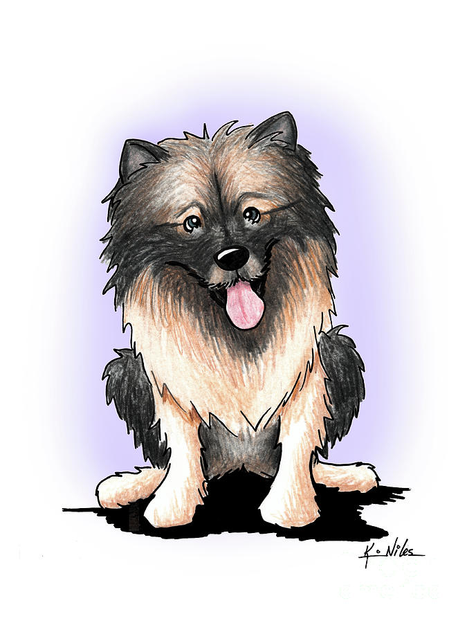 Kiniart Keeshond Drawing by Kim Niles